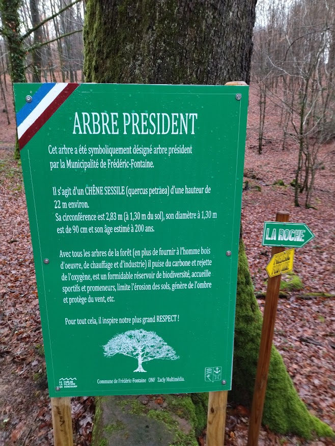 Arbre Président