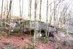 La roche des Sarrasins, Frédéric-Fontaine